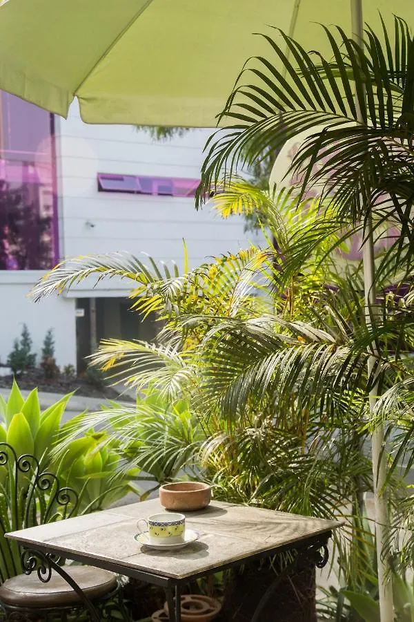 Spring City Hostel Medellín Colombia
